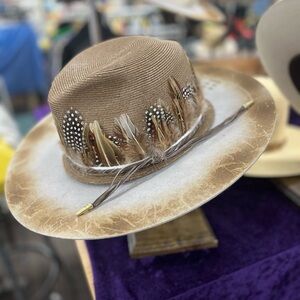Stylish Brown Feathered Men's Hat